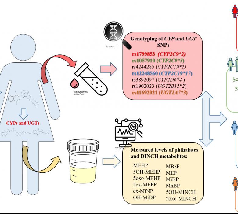 Graphical abstract