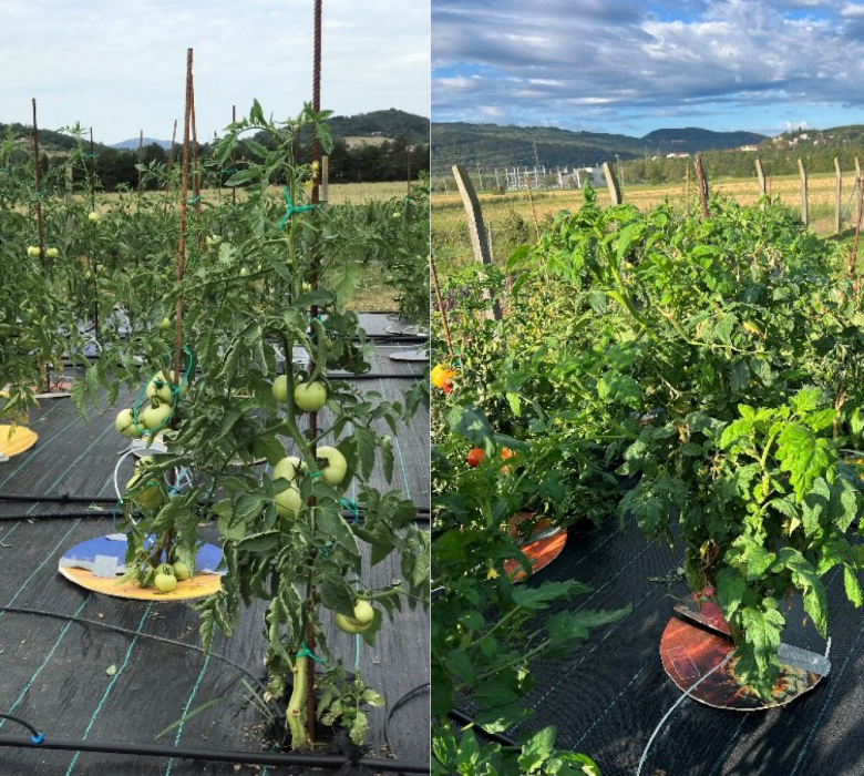 Screenshot 2026 04 08 115604