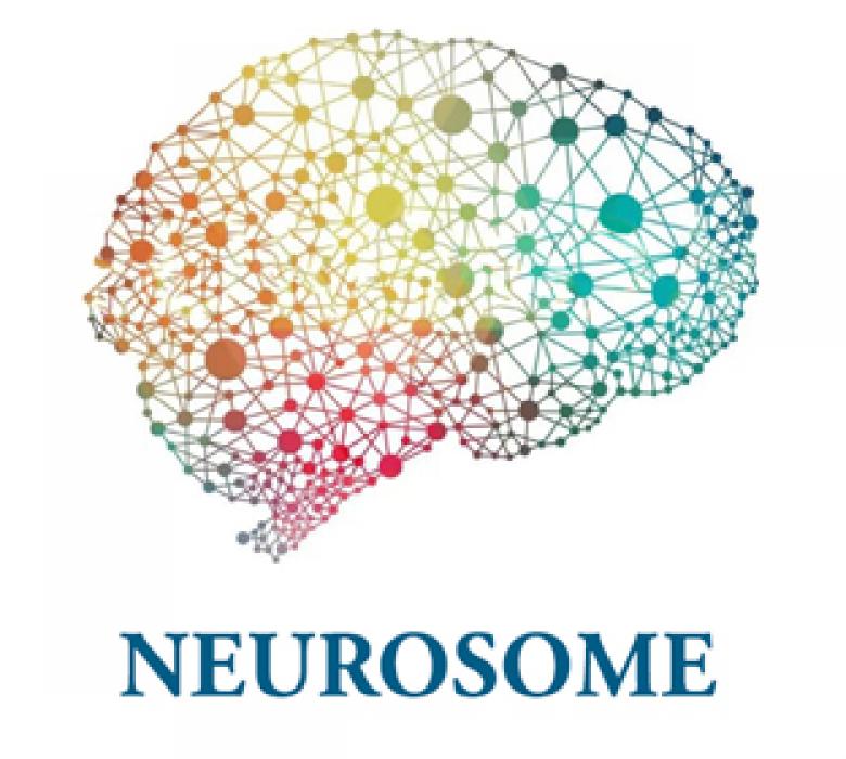 neurosome