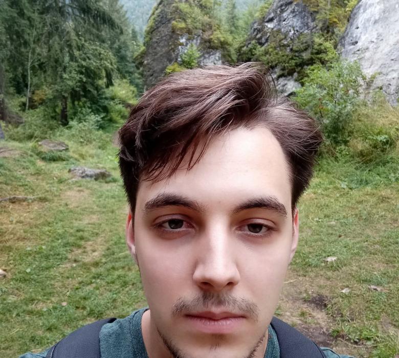 teodor andron
