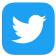 twitter ios icon