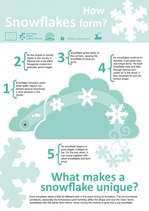 snowflake poster